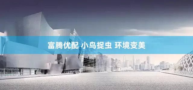 富腾优配 小鸟捉虫 环境变美