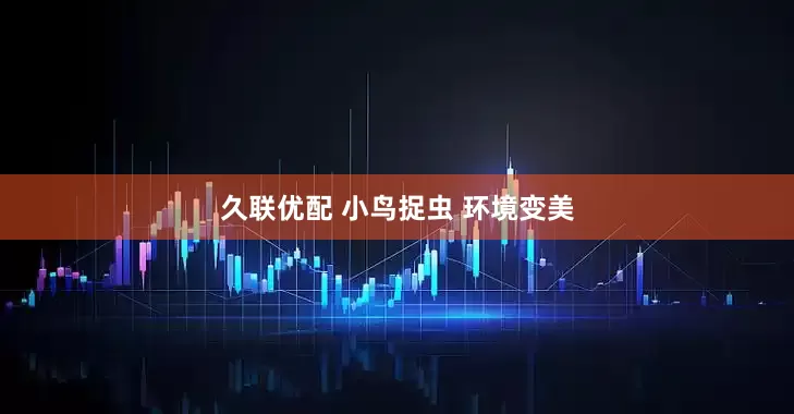 久联优配 小鸟捉虫 环境变美