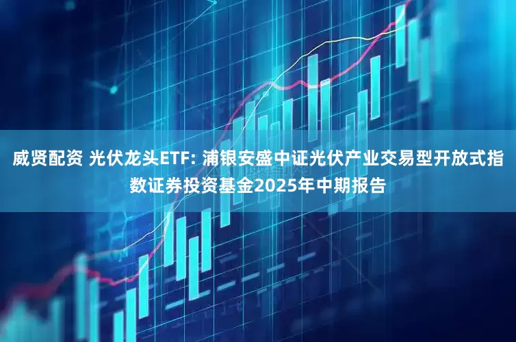 威贤配资 光伏龙头ETF: 浦银安盛中证光伏产业交易型开放式指数证券投资基金2025年中期报告