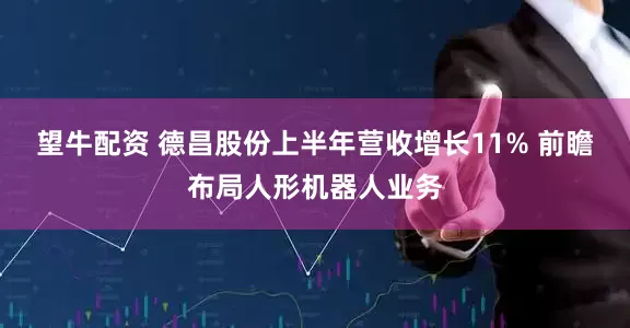 望牛配资 德昌股份上半年营收增长11% 前瞻布局人形机器人业务